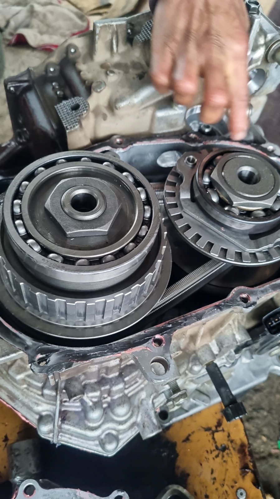 WhatsApp Image 2023-09-06 at 18.02.50